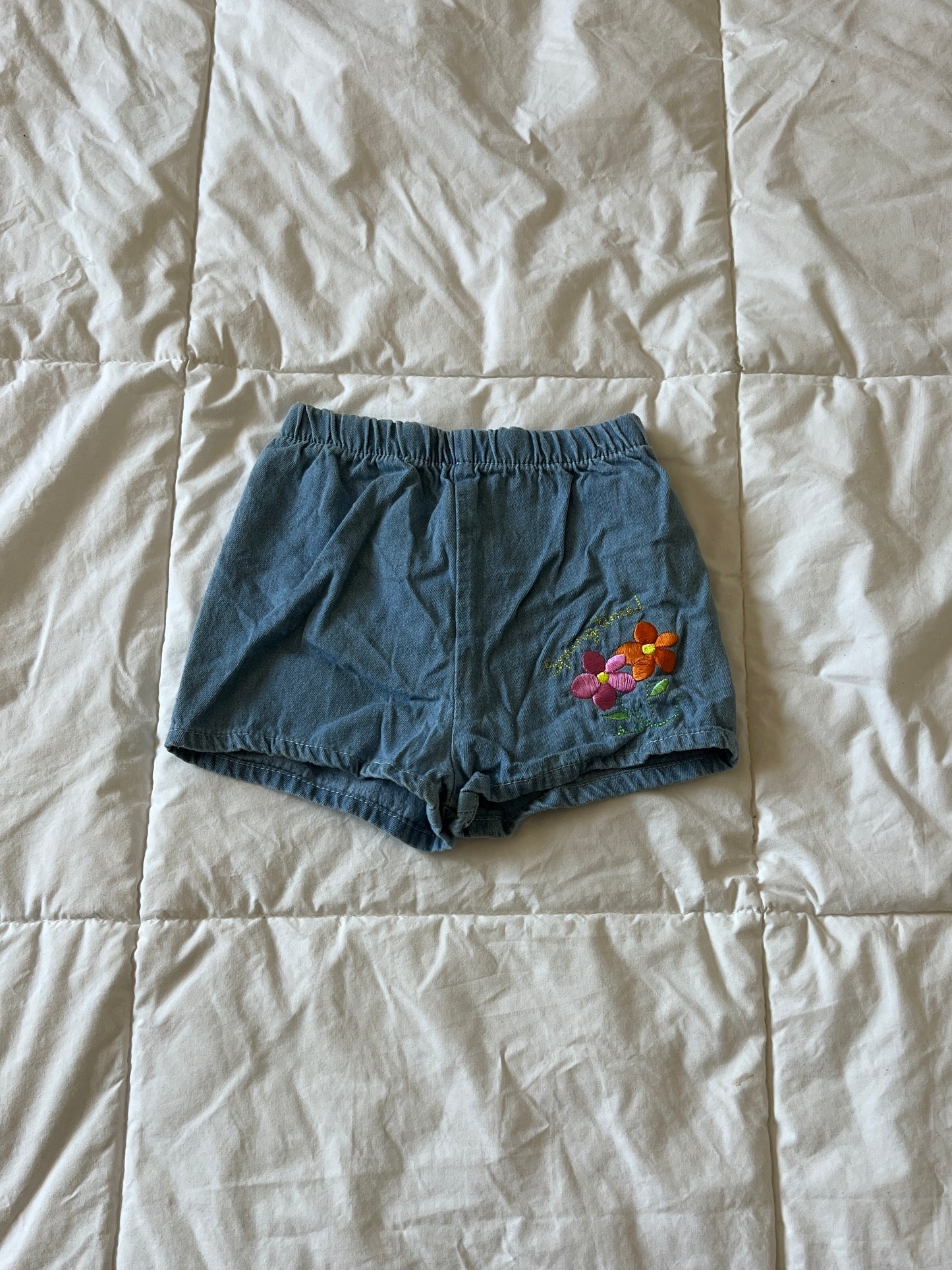 "Spring Time!" Denim Shorts (12 mo)