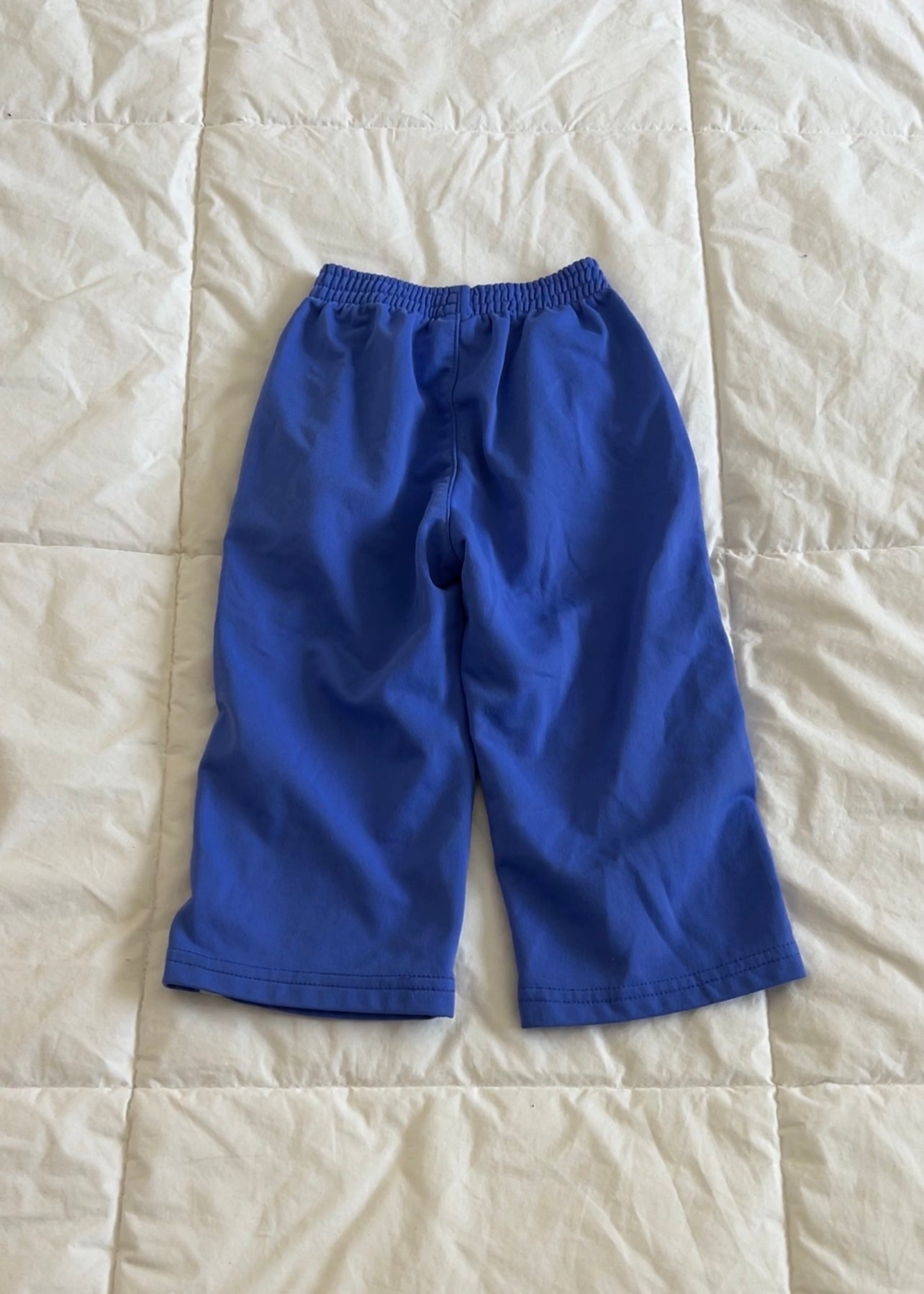 Blue/Purple Nike Track Pants (2T)