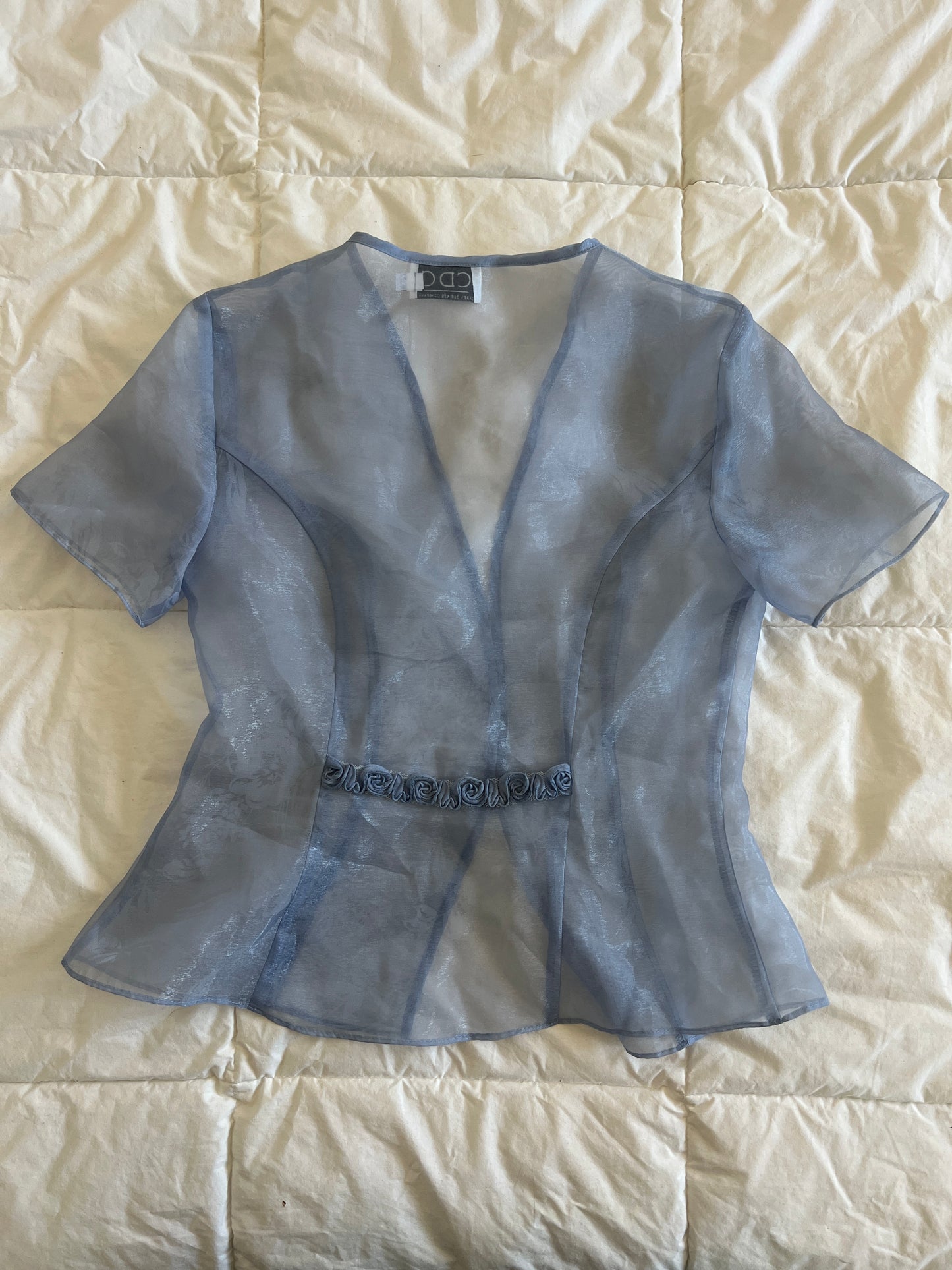 Vintage Blue Sheer Blouse (s)