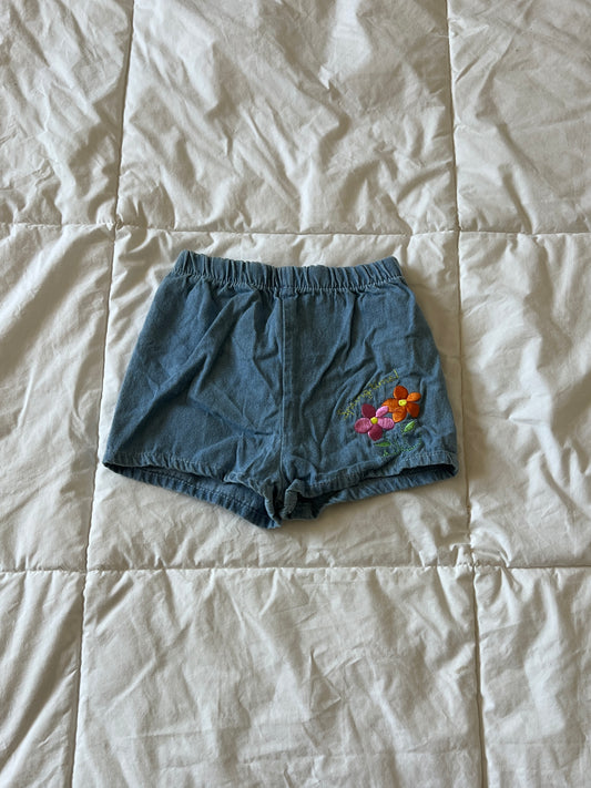 "Spring Time!" Denim Shorts (12 mo)
