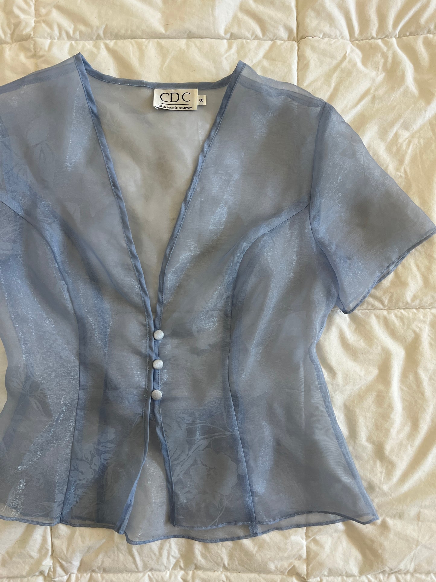 Vintage Blue Sheer Blouse (s)